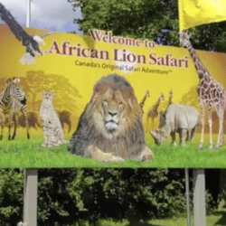 African Zoo Safari Tour